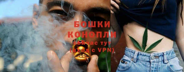 гидра Бугульма