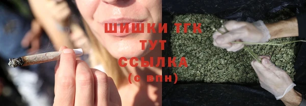 прущая мука Бородино