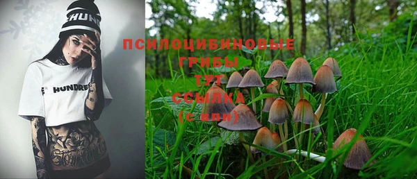 прущая мука Бородино