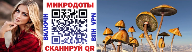 где продают наркотики  Можга  Псилоцибиновые грибы Cubensis 