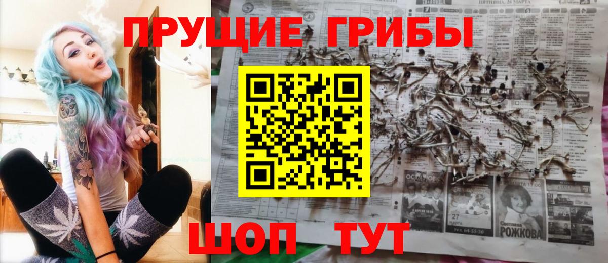 Псилоцибиновые грибы мицелий  Псилоцибиновые грибы ЛСД  Вход с VPN  Можга 