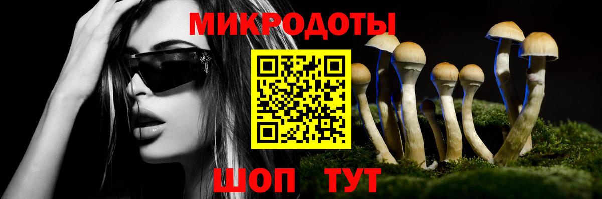 Галлюциногенные грибы GOLDEN TEACHER Можга