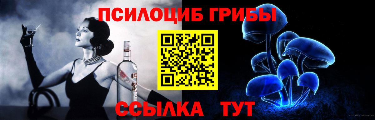 Галлюциногенные грибы Magic Shrooms  Можга 