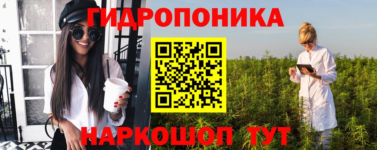 Можга  Каннабис OG Kush  Вход с VPN  Каннабис OG Kush  Шишки марихуана план 
